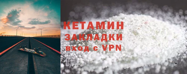 прущие грибы Аркадак