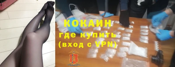 прущие грибы Аркадак