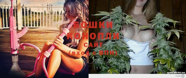прущие грибы Аркадак
