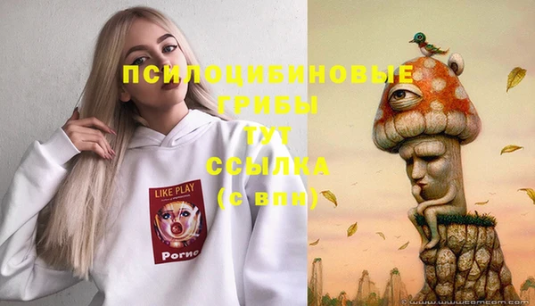 прущие грибы Аркадак