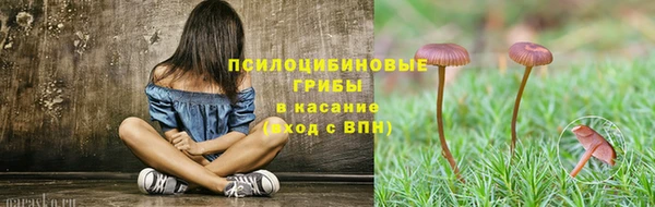 мескалин Арсеньев