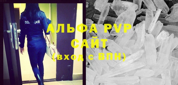 прущие грибы Аркадак