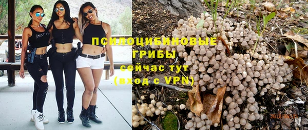 прущие грибы Аркадак
